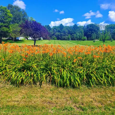 Tbd Cove Rd, Sturgeon Bay Wi 54235, ,Unimproved Land,For Sale,Cove Rd,142965