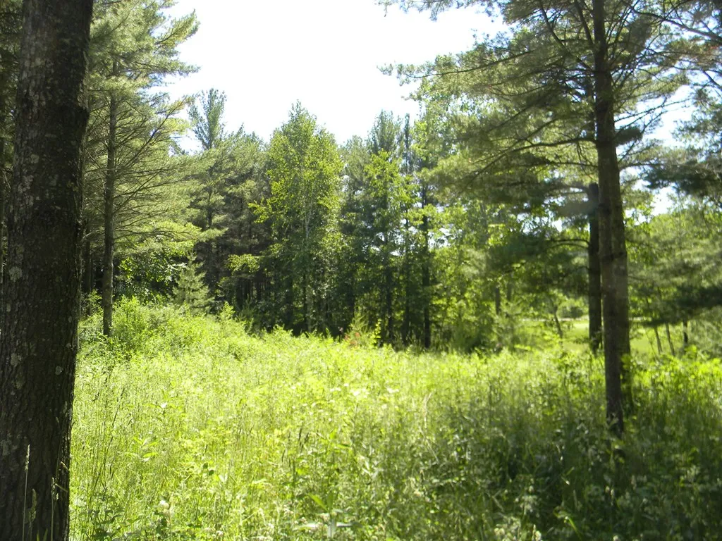 6949 Cobblestone Rd, Egg Harbor Wi 54209, 2 Bedrooms Bedrooms, ,2 BathroomsBathrooms,Condominium,For Sale,Cobblestone Rd,141497