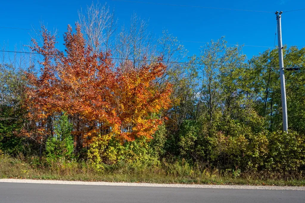 Lot 1 Northwoods Dr, Sister Bay Wi 54234, ,Unimproved Land,For Sale,Northwoods Dr,141136