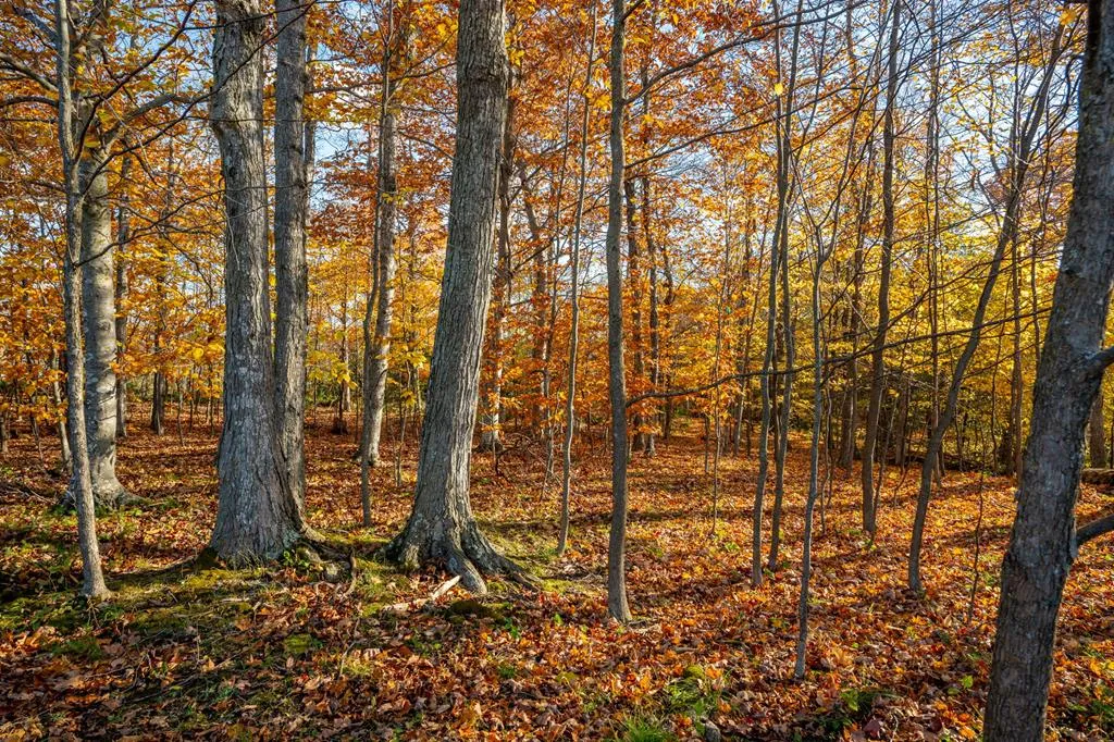 Lot 1 Northwoods Dr, Sister Bay Wi 54234, ,Unimproved Land,For Sale,Northwoods Dr,141136