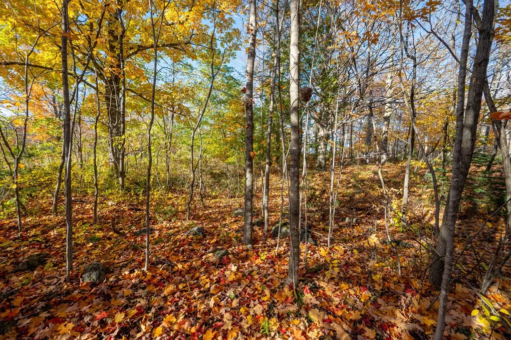 Lot 1 Northwoods Dr, Sister Bay Wi 54234, ,Unimproved Land,For Sale,Northwoods Dr,141136