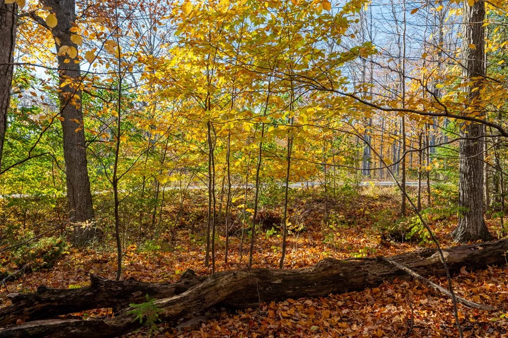 Lot 1 Northwoods Dr, Sister Bay Wi 54234, ,Unimproved Land,For Sale,Northwoods Dr,141136