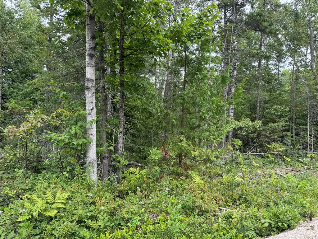 Europe Bay Rd, Ellison Bay, Wisconsin 54210, ,Unimproved Land,For Sale,Europe Bay Rd,144452