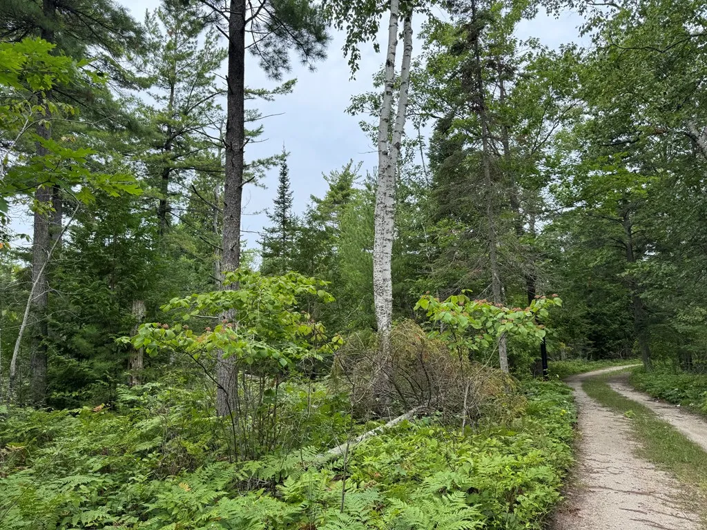 Europe Bay Rd, Ellison Bay, Wisconsin 54210, ,Unimproved Land,For Sale,Europe Bay Rd,144452