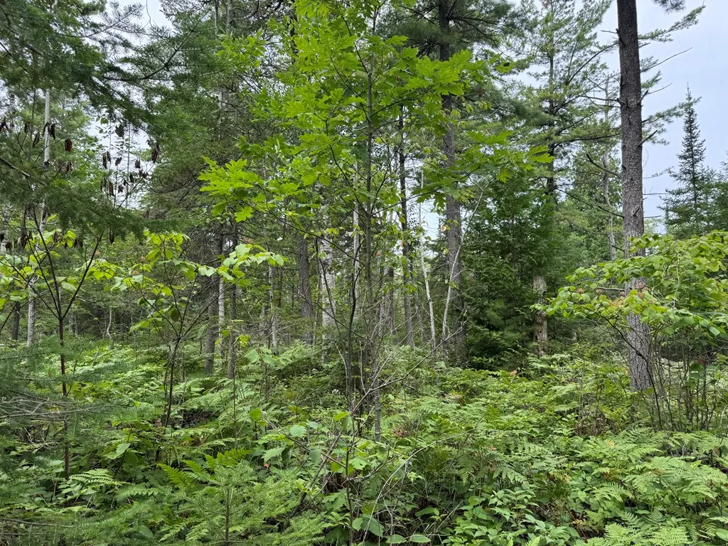 Europe Bay Rd, Ellison Bay, Wisconsin 54210, ,Unimproved Land,For Sale,Europe Bay Rd,144452