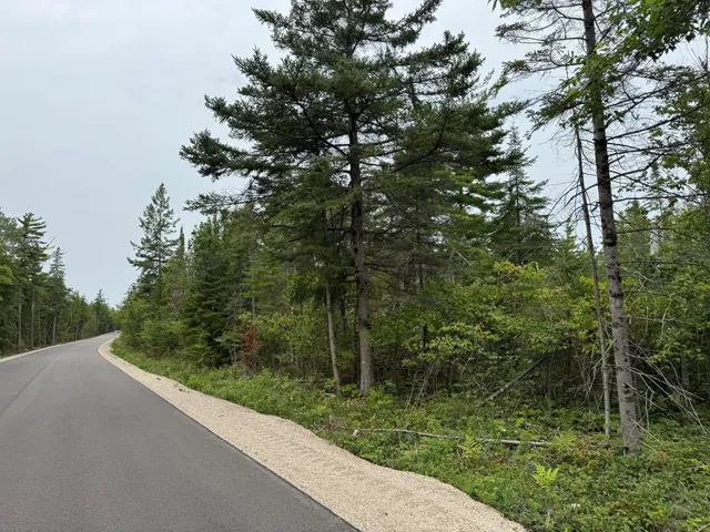 Europe Bay Rd, Ellison Bay, Wisconsin 54210, ,Unimproved Land,For Sale,Europe Bay Rd,144452