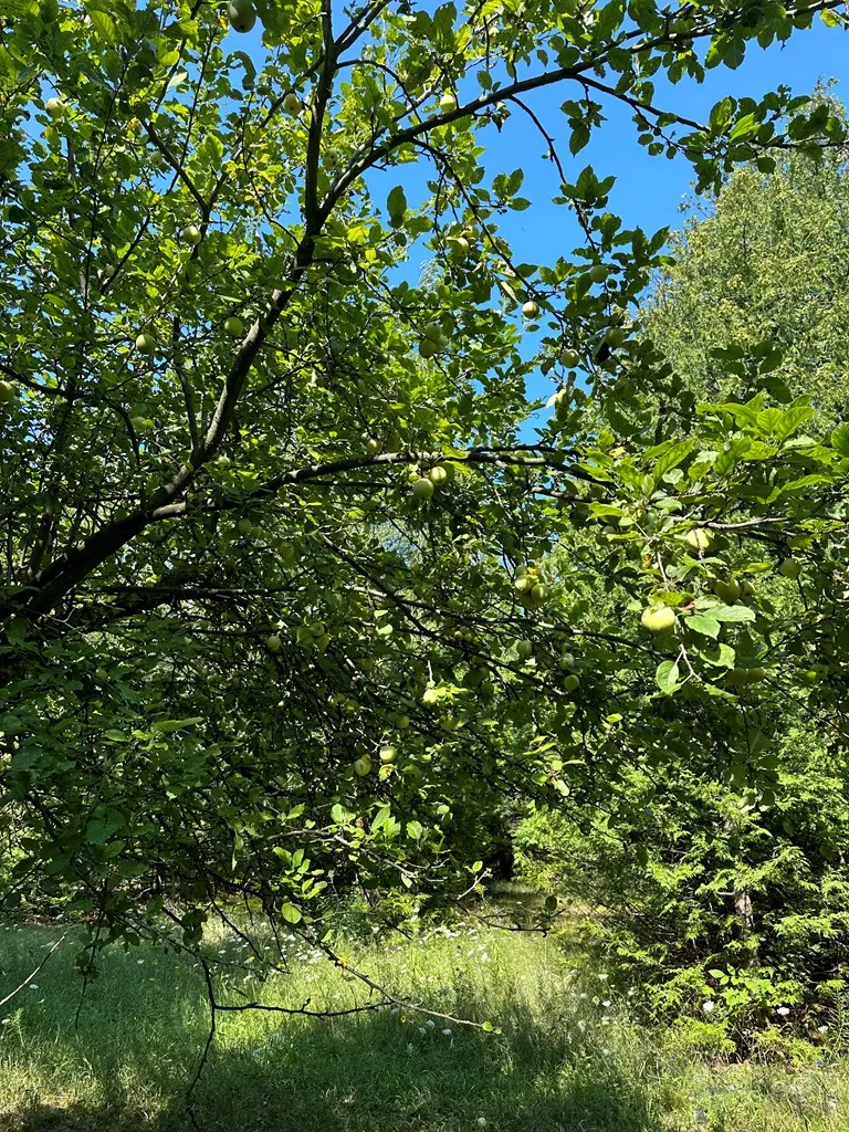 8352 Gardner Ct, Baileys Harbor Wi 54212, ,Unimproved Land,For Sale,Gardner Ct,141315