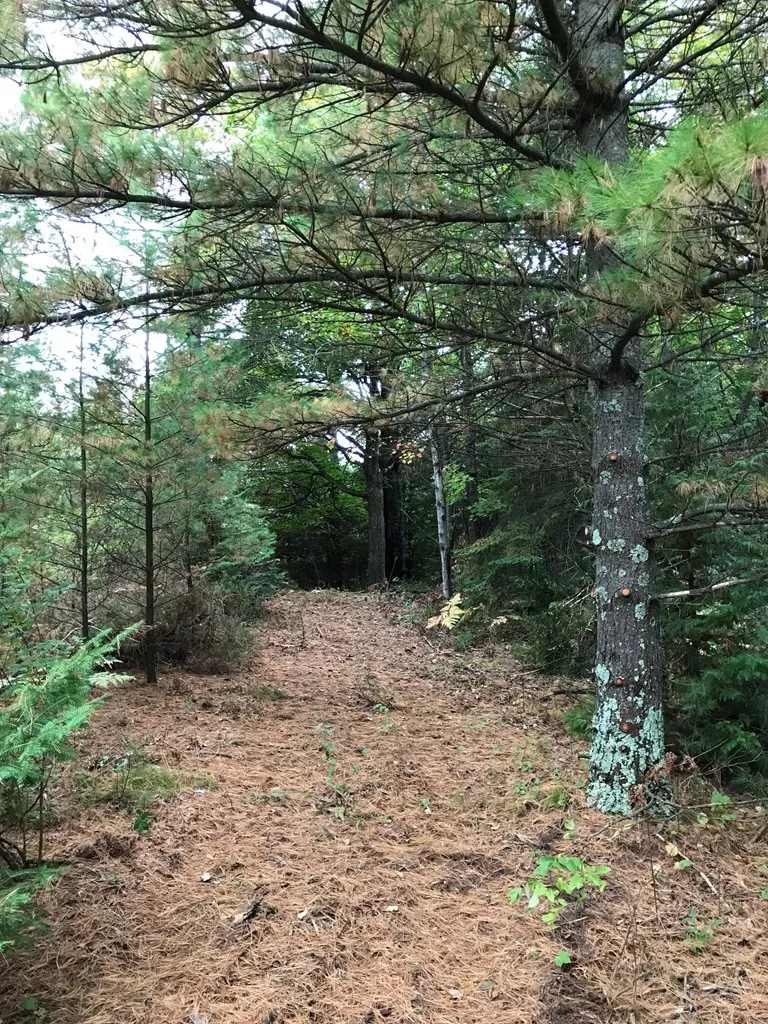 8352 Gardner Ct, Baileys Harbor Wi 54212, ,Unimproved Land,For Sale,Gardner Ct,141315