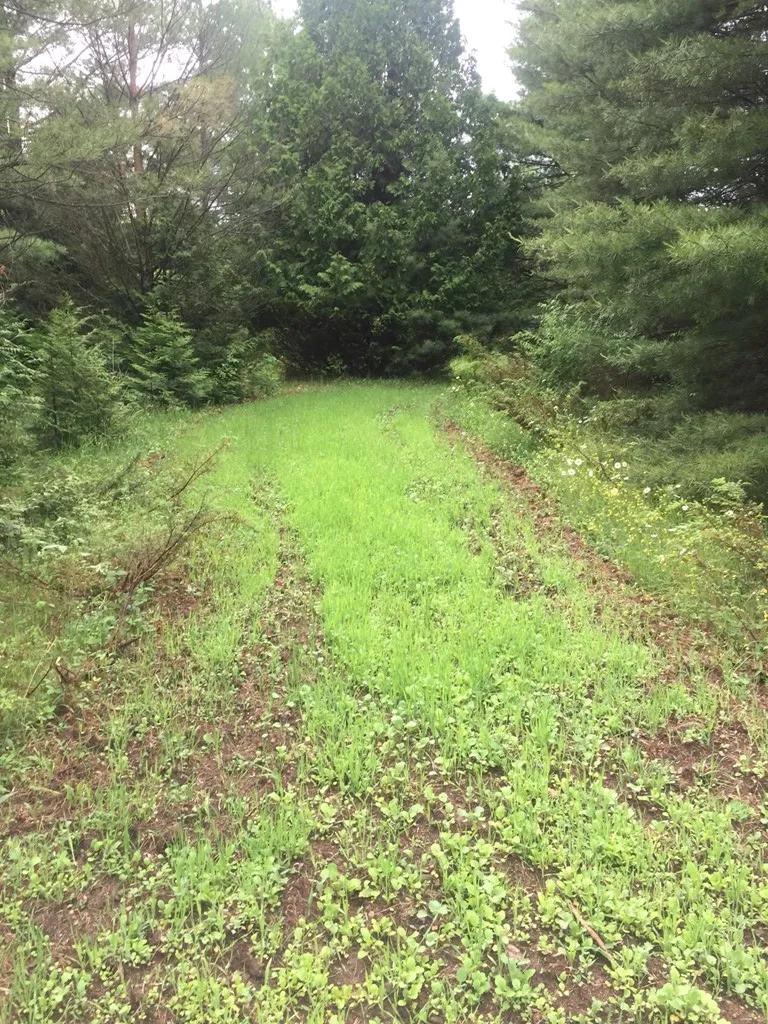 8352 Gardner Ct, Baileys Harbor Wi 54212, ,Unimproved Land,For Sale,Gardner Ct,141315