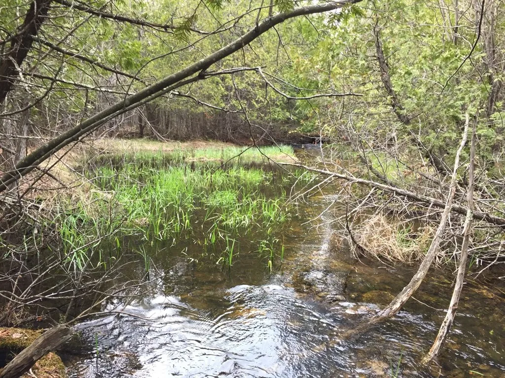 8352 Gardner Ct, Baileys Harbor Wi 54212, ,Unimproved Land,For Sale,Gardner Ct,141315