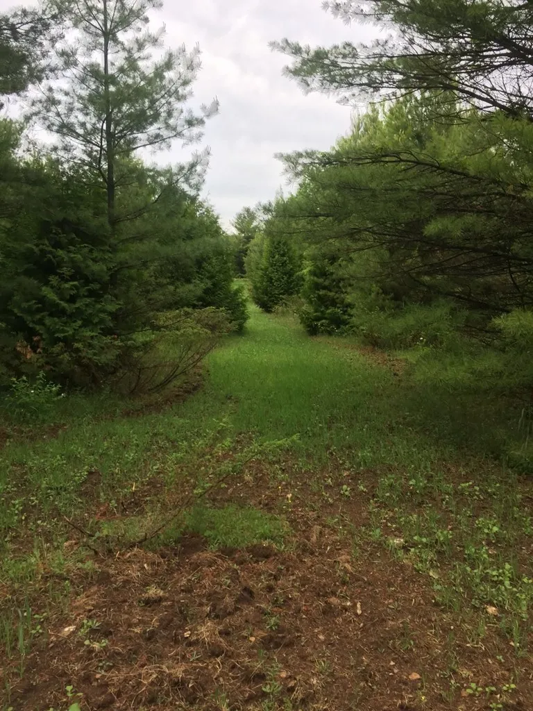 8352 Gardner Ct, Baileys Harbor Wi 54212, ,Unimproved Land,For Sale,Gardner Ct,141315