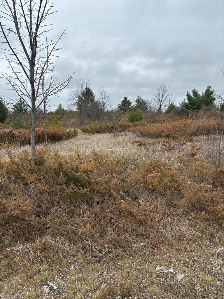 Woodcrest Rd, Sister Bay Wi 54234, ,Unimproved Land,For Sale,Woodcrest Rd,143852