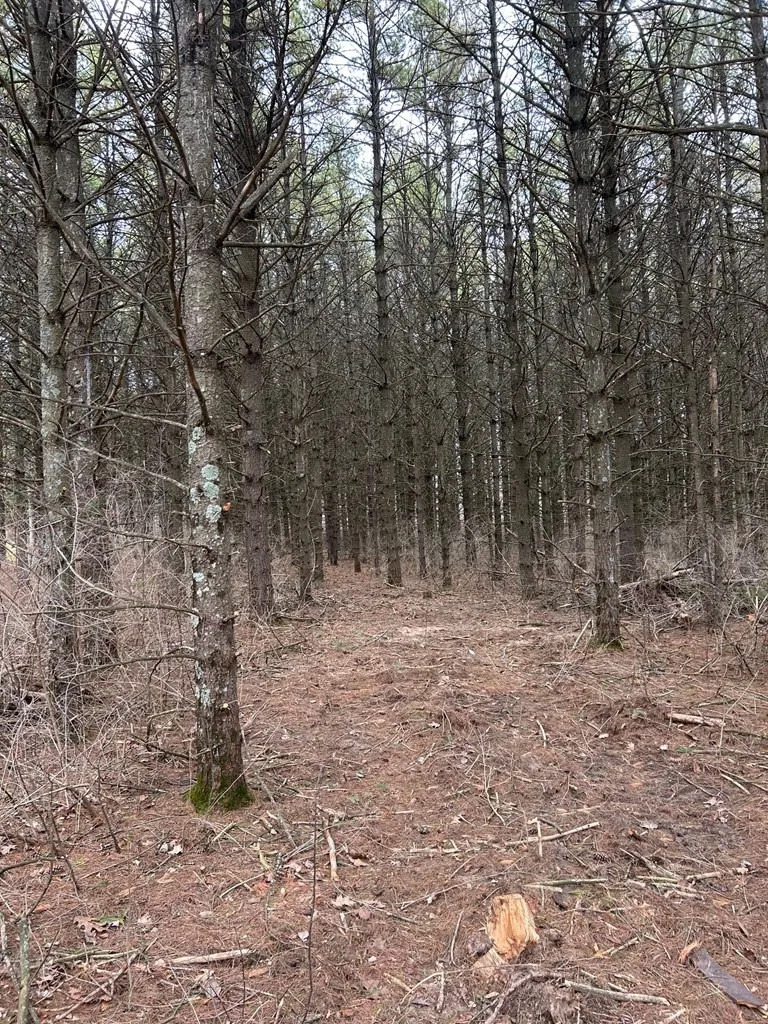 Lot 7 Bay Shore Heights Cir, Sturgeon Bay, Wisconsin 54235, ,Unimproved Land,For Sale,Bay Shore Heights Cir,144442