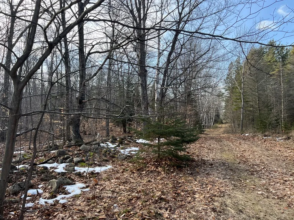 Tbd Jackson Harbor Rd, Washington Island Wi 54246, ,Unimproved Land,For Sale,Jackson Harbor Rd,141456
