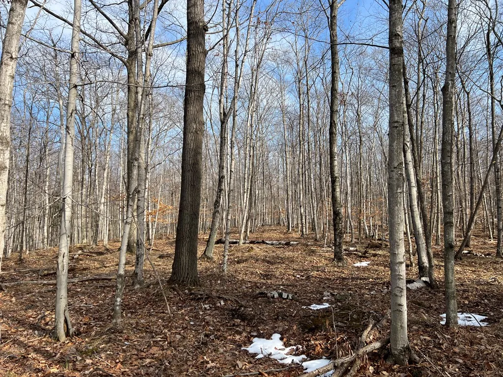 Tbd Jackson Harbor Rd, Washington Island Wi 54246, ,Unimproved Land,For Sale,Jackson Harbor Rd,141456