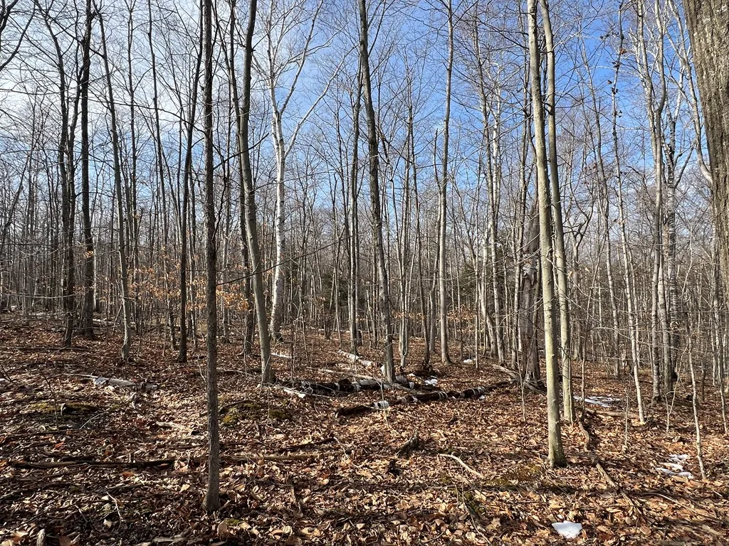 Tbd Jackson Harbor Rd, Washington Island Wi 54246, ,Unimproved Land,For Sale,Jackson Harbor Rd,141456