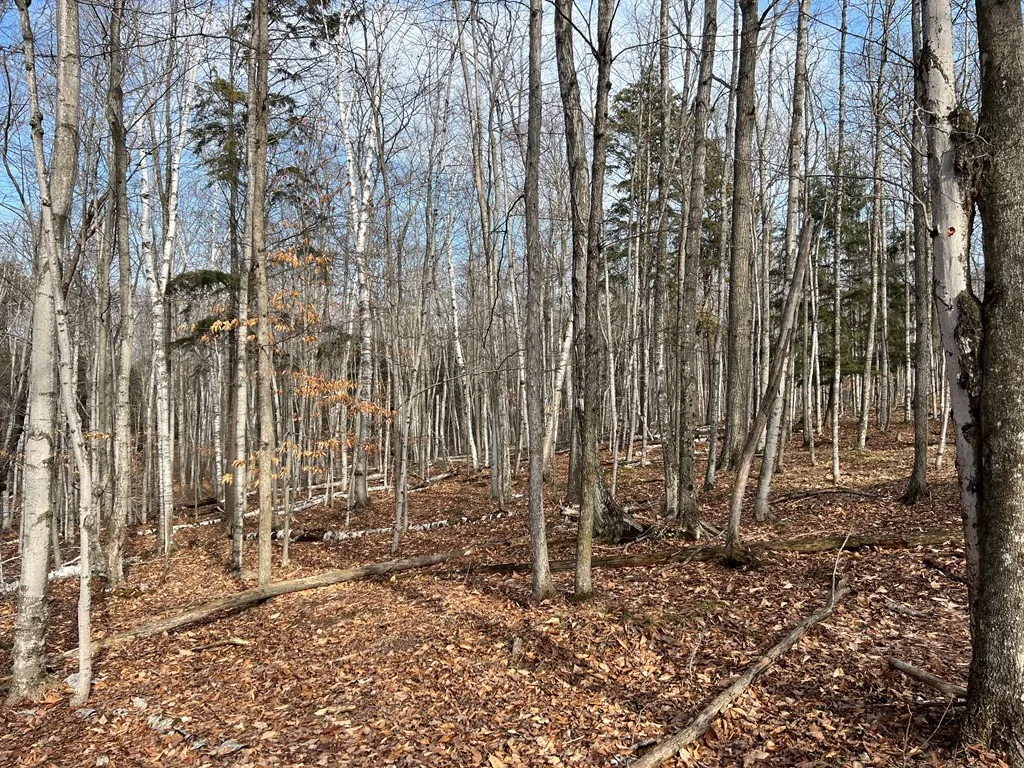 Tbd Jackson Harbor Rd, Washington Island Wi 54246, ,Unimproved Land,For Sale,Jackson Harbor Rd,141456