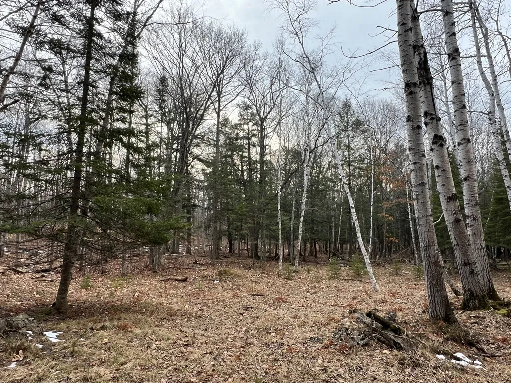 Tbd Jackson Harbor Rd, Washington Island Wi 54246, ,Unimproved Land,For Sale,Jackson Harbor Rd,141456