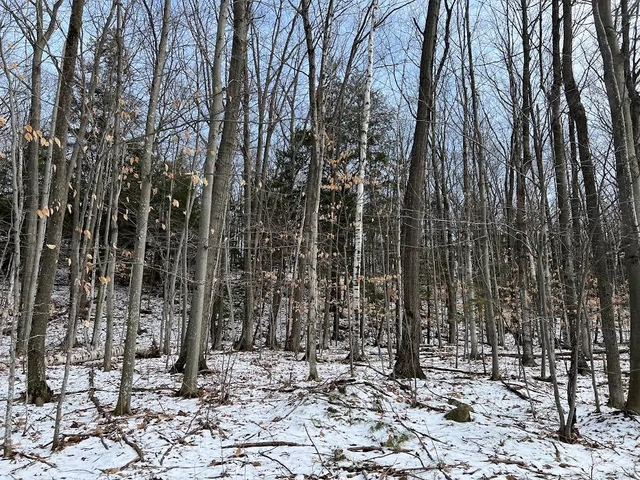 E Spring Ln, Egg Harbor Wi 54209, ,Unimproved Land,For Sale,E Spring Ln,141427