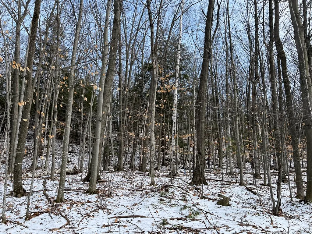 E Spring Ln, Egg Harbor Wi 54209, ,Unimproved Land,For Sale,E Spring Ln,141427