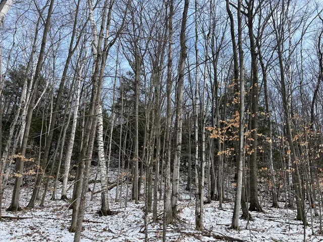 E Spring Ln, Egg Harbor Wi 54209, ,Unimproved Land,For Sale,E Spring Ln,141427