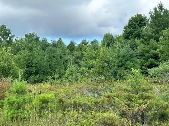 Tbd Woodcrest Rd, Sister Bay Wi 54234, ,Unimproved Land,For Sale,Woodcrest Rd,143063