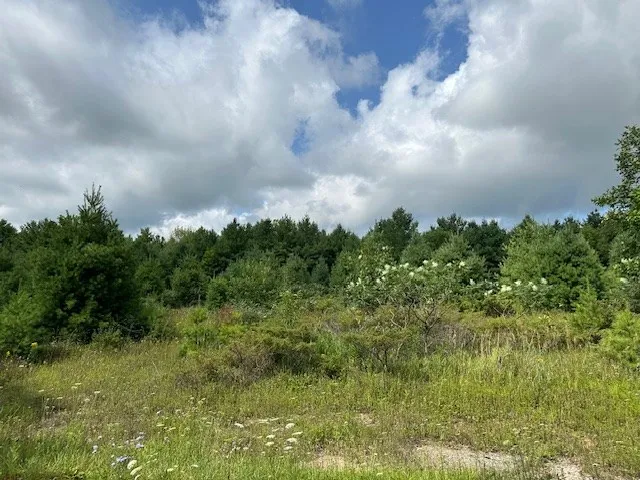 Tbd Woodcrest Rd, Sister Bay Wi 54234, ,Unimproved Land,For Sale,Woodcrest Rd,143063