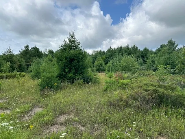 Tbd Woodcrest Rd, Sister Bay Wi 54234, ,Unimproved Land,For Sale,Woodcrest Rd,143063