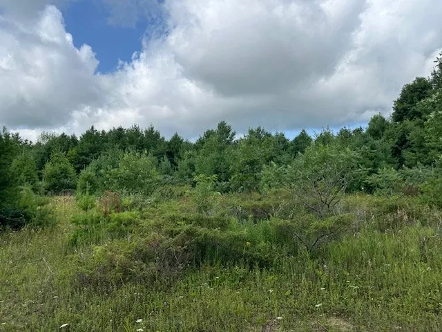 Tbd Woodcrest Rd, Sister Bay Wi 54234, ,Unimproved Land,For Sale,Woodcrest Rd,143063