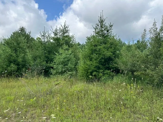 Tbd Woodcrest Rd, Sister Bay Wi 54234, ,Unimproved Land,For Sale,Woodcrest Rd,143063