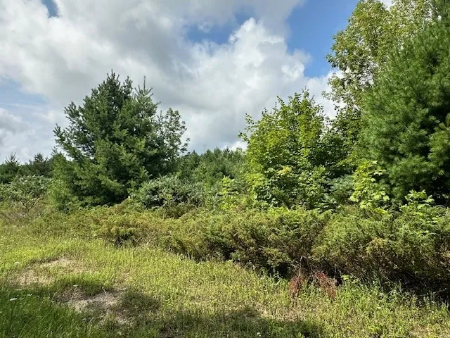 Tbd Woodcrest Rd, Sister Bay Wi 54234, ,Unimproved Land,For Sale,Woodcrest Rd,143063