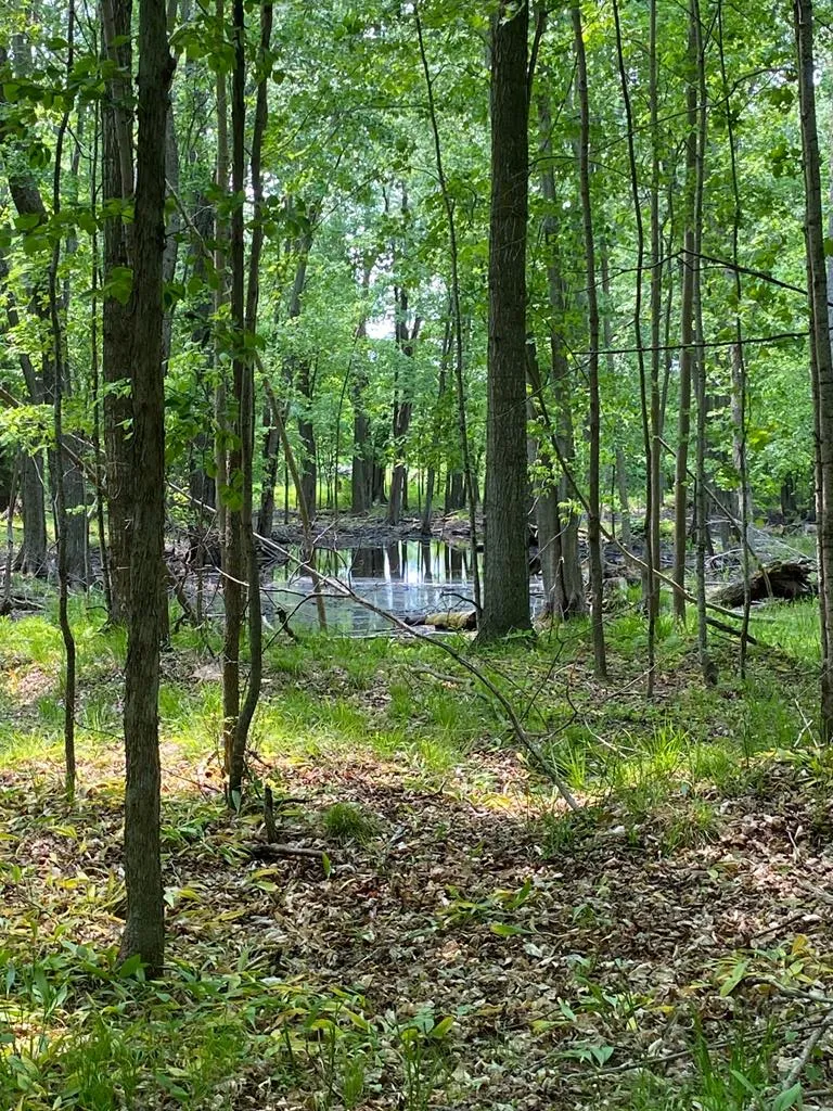 3793 County Rd Ee, Fish Creek, Wisconsin 54212, ,Unimproved Land,For Sale,County Rd EE,144057