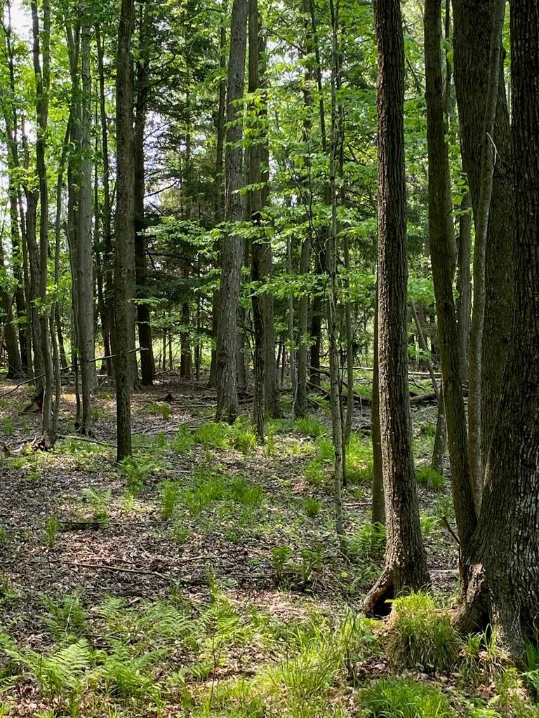 3793 County Rd Ee, Fish Creek, Wisconsin 54212, ,Unimproved Land,For Sale,County Rd EE,144057