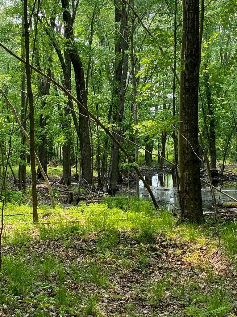 3793 County Rd Ee, Fish Creek, Wisconsin 54212, ,Unimproved Land,For Sale,County Rd EE,144057