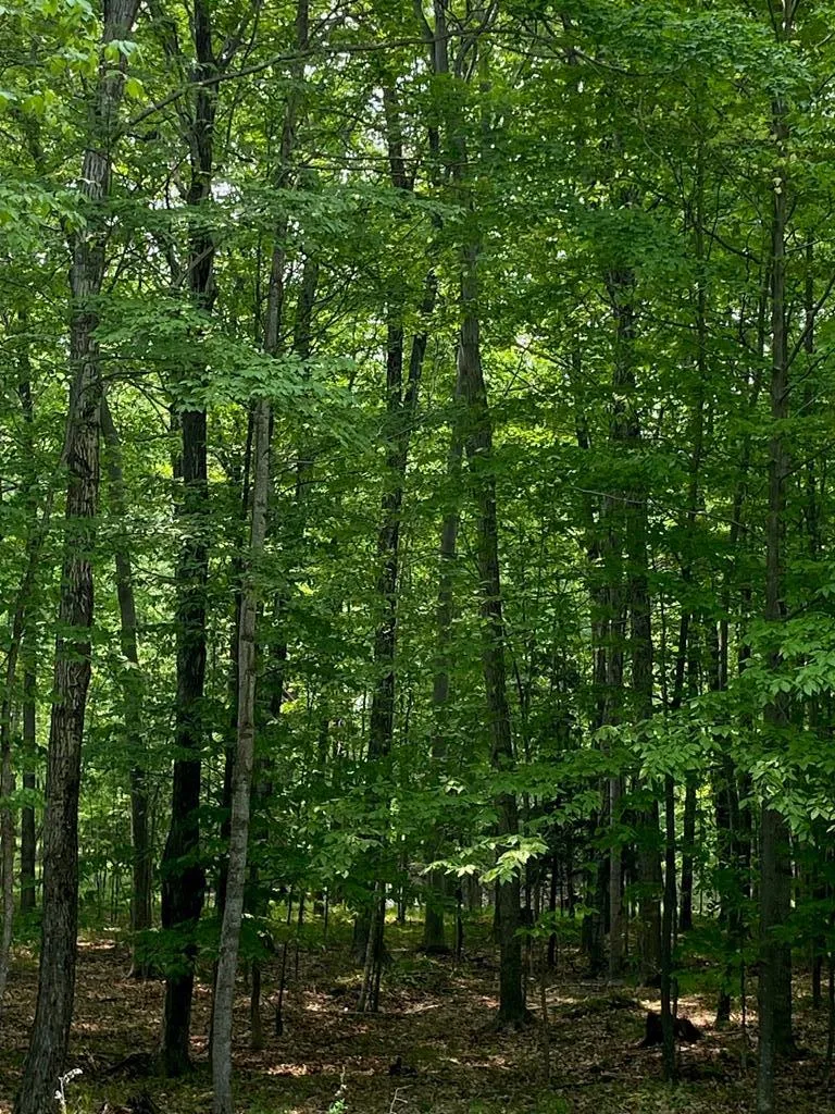 3793 County Rd Ee, Fish Creek, Wisconsin 54212, ,Unimproved Land,For Sale,County Rd EE,144057
