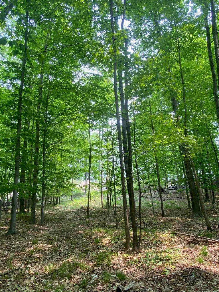 3793 County Rd Ee, Fish Creek, Wisconsin 54212, ,Unimproved Land,For Sale,County Rd EE,144057