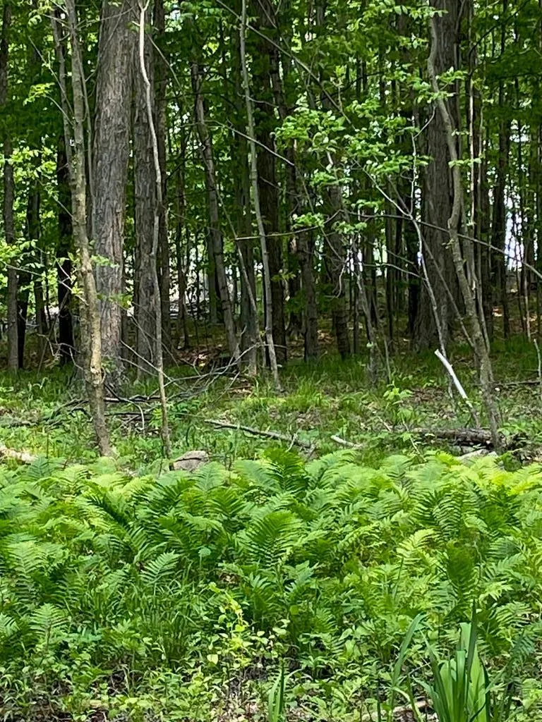 3793 County Rd Ee, Fish Creek, Wisconsin 54212, ,Unimproved Land,For Sale,County Rd EE,144057