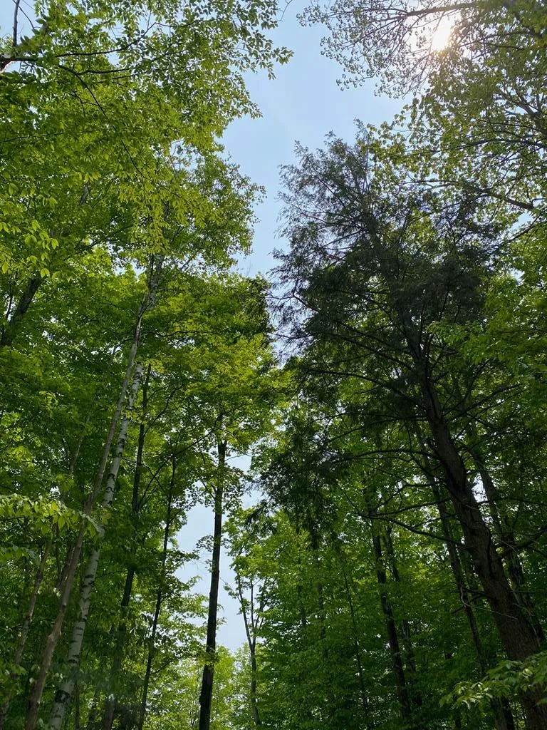 3793 County Rd Ee, Fish Creek, Wisconsin 54212, ,Unimproved Land,For Sale,County Rd EE,144057