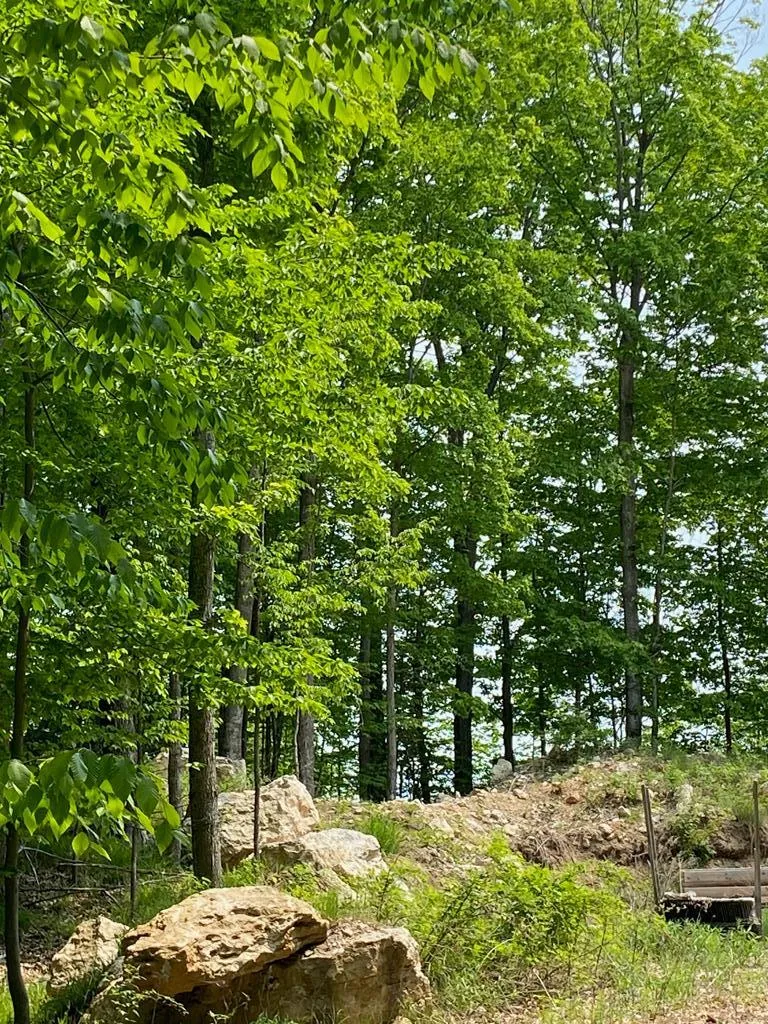 3793 County Rd Ee, Fish Creek, Wisconsin 54212, ,Unimproved Land,For Sale,County Rd EE,144057