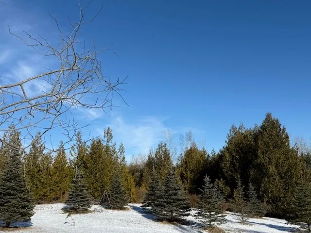 3892 E Whitefish Bay Rd, Sturgeon Bay Wi 54235, 2 Bedrooms Bedrooms, ,1 BathroomBathrooms,Inland-Residential,For Sale,E Whitefish Bay Rd,143316