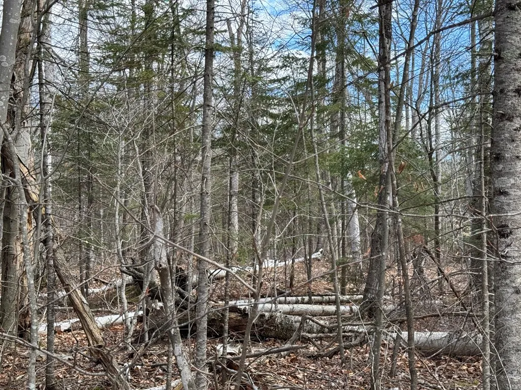 Lot 48 Fawn Ln, Ellison Bay Wi 54210, ,Unimproved Land,For Sale,Fawn Ln,143842