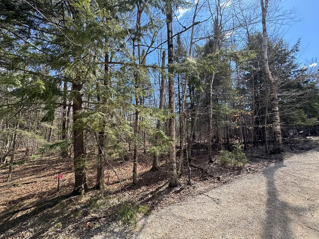 Lot 48 Fawn Ln, Ellison Bay Wi 54210, ,Unimproved Land,For Sale,Fawn Ln,143842