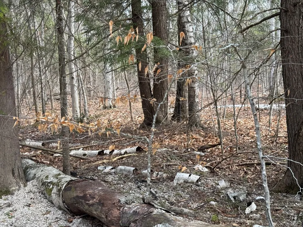 Lot 48 Fawn Ln, Ellison Bay Wi 54210, ,Unimproved Land,For Sale,Fawn Ln,143842