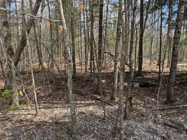Lot 48 Fawn Ln, Ellison Bay Wi 54210, ,Unimproved Land,For Sale,Fawn Ln,143842