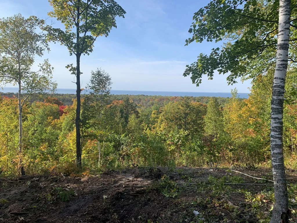Lot 21 Wildflower Patch Rd, Fish Creek, Wisconsin 54212, ,Unimproved Land,For Sale,Daisy Patch Rd,144198