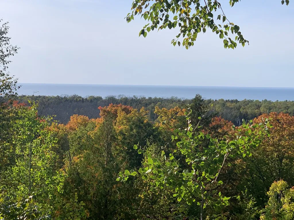 Lot 21 Wildflower Patch Rd, Fish Creek, Wisconsin 54212, ,Unimproved Land,For Sale,Daisy Patch Rd,144198