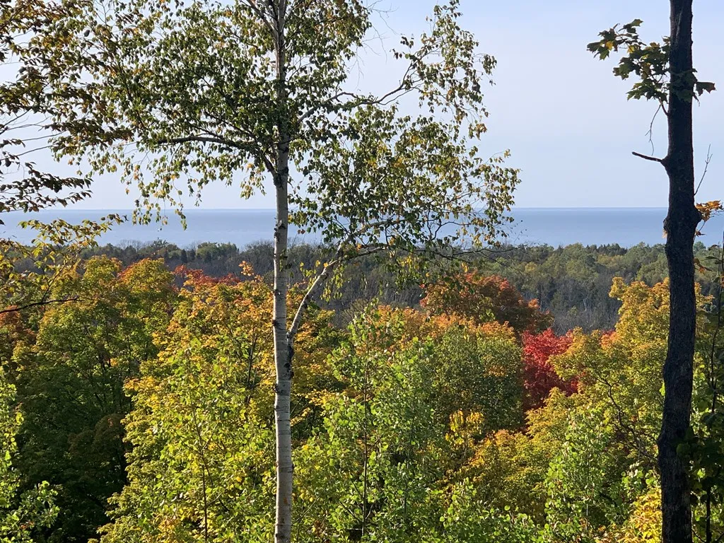 Lot 21 Wildflower Patch Rd, Fish Creek, Wisconsin 54212, ,Unimproved Land,For Sale,Daisy Patch Rd,144198