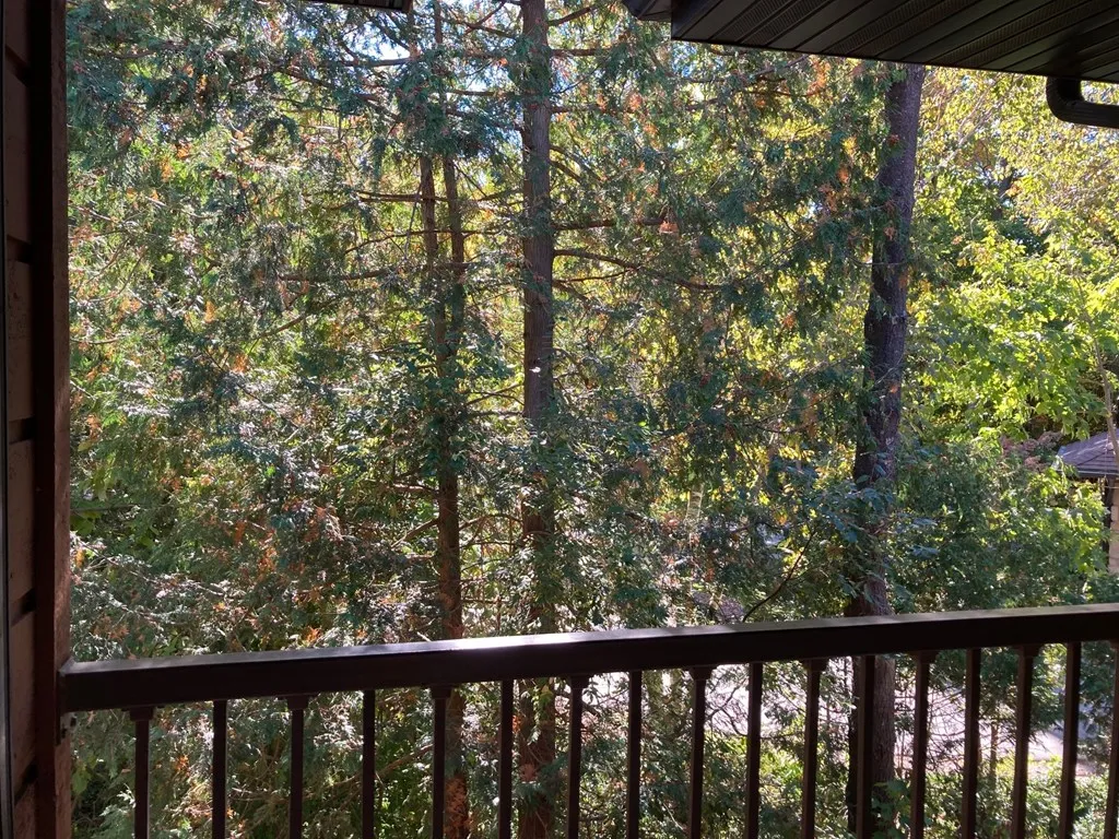 4908 Landmark Cir # 1310, Egg Harbor Wi 54209, 2 Bedrooms Bedrooms, ,1 BathroomBathrooms,Condominium,For Sale,Landmark Cir,143350