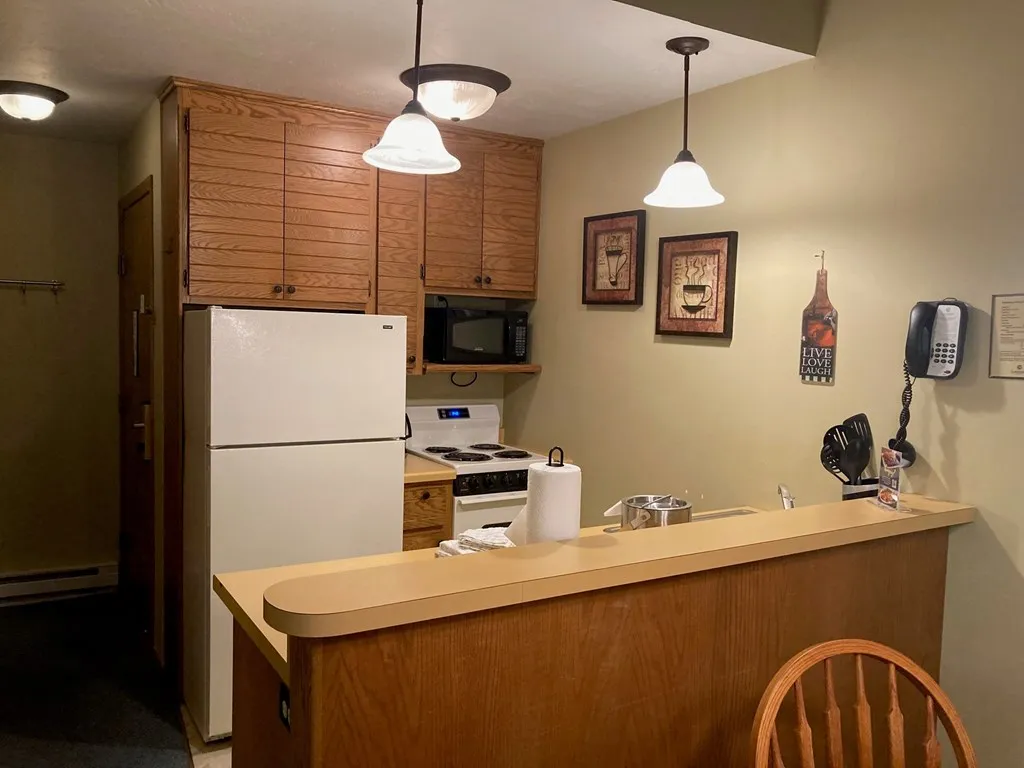 4908 Landmark Cir # 1310, Egg Harbor Wi 54209, 2 Bedrooms Bedrooms, ,1 BathroomBathrooms,Condominium,For Sale,Landmark Cir,143350
