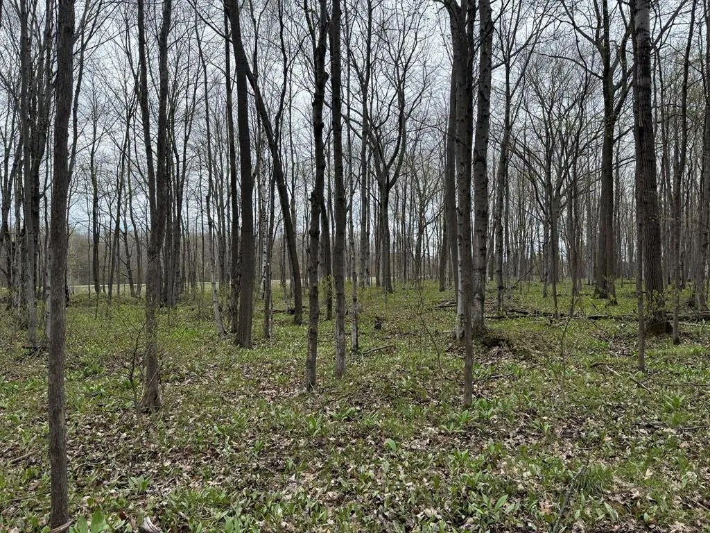 Memorial Dr, Egg Harbor Wi 54209, ,Unimproved Land,For Sale,Memorial Dr,141590